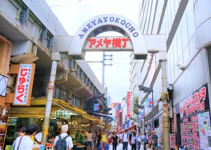 KEISEI SKYLINER & TEITO TAXI - Direct From Narita Airport To Your Hotel