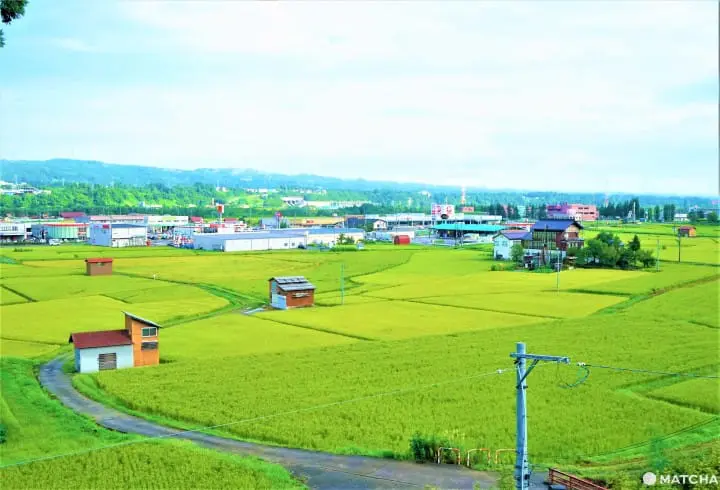 Visit Japan’s Art Town, Tokamachi: Farm-to-Table Meals And Outdoors