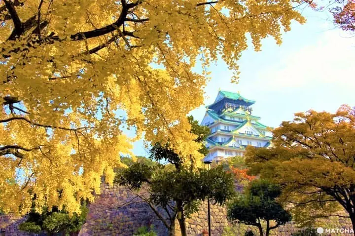 fall in japan