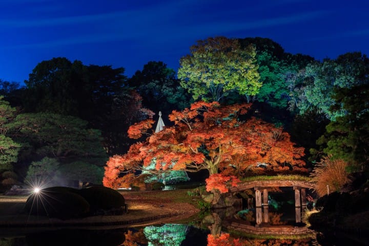 Rikugien Garden