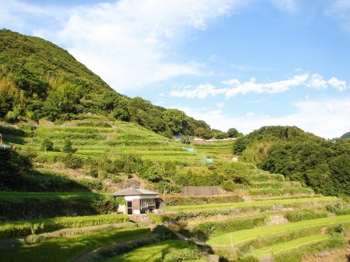 千枚田 小豆島