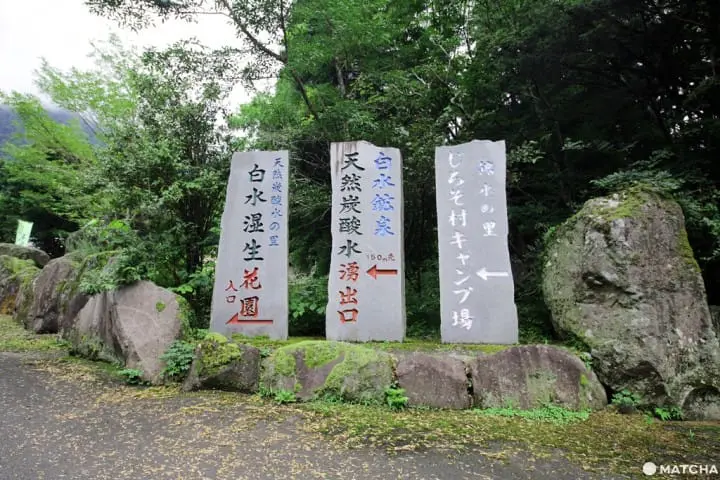 【大分縣】天然湧出的碳酸氣泡水，白水礦泉-入口