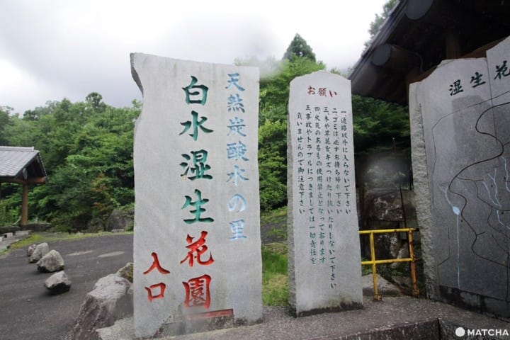 【大分縣】天然湧出的碳酸氣泡水,白水礦泉-白水濕生花園1
