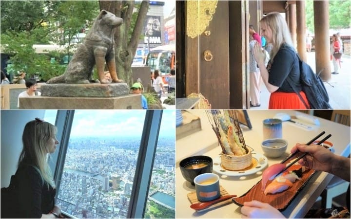 Keisei Skyliner & Tokyo Subway Ticket - Enjoy The Iconic Sights Of Tokyo