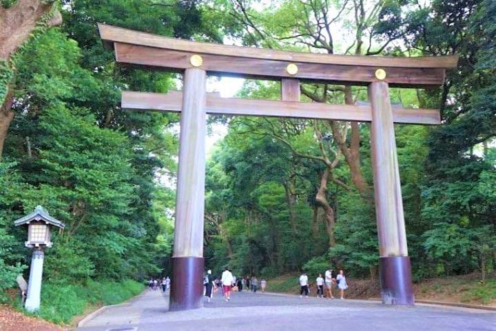 Keisei Skyliner & Tokyo Subway Ticket - Enjoy The Iconic Sights Of Tokyo