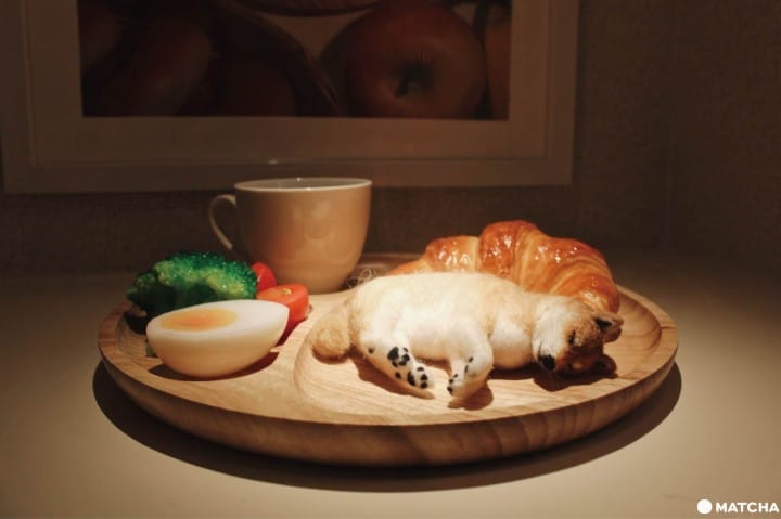 【京都】抱着柴犬MARU入睡做美梦!人气网红与微型艺术家打造疗愈旅社“Marugott Hotel”