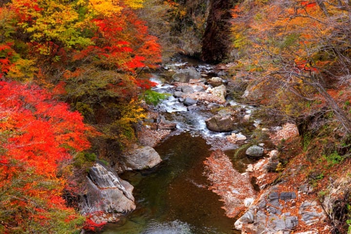 日光 川俣温泉