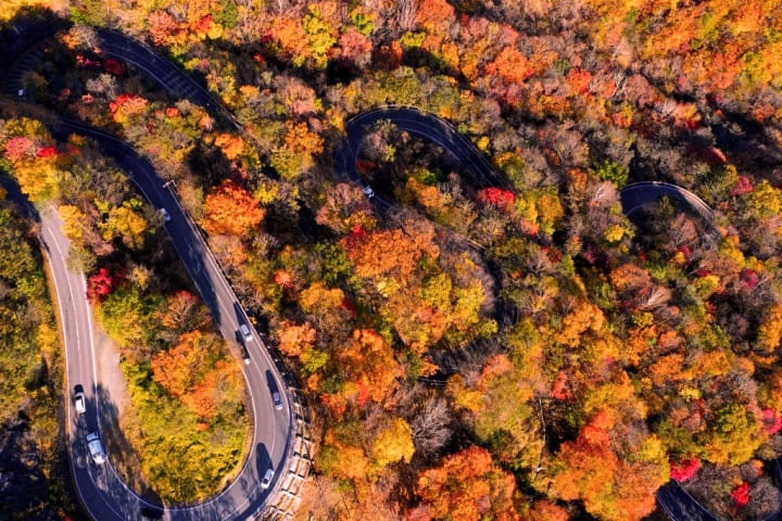 日光紅葉坂
