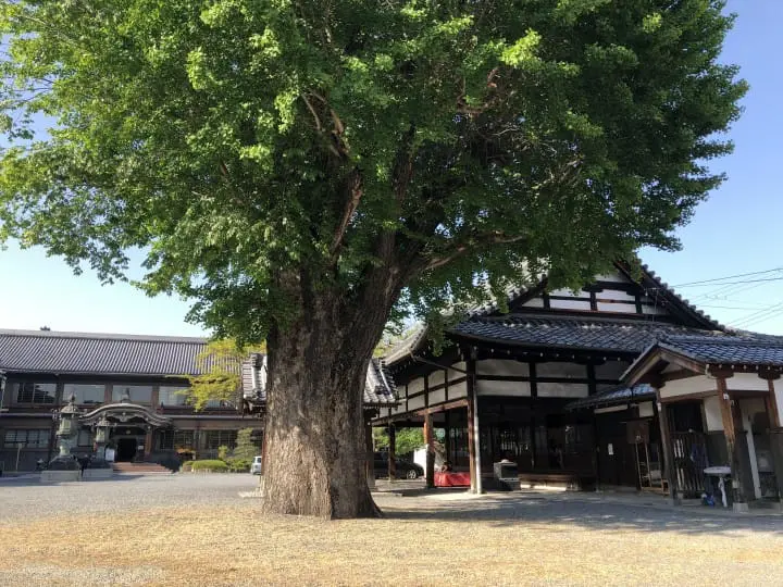 【京都】和菓子が自慢の和カフェ3選