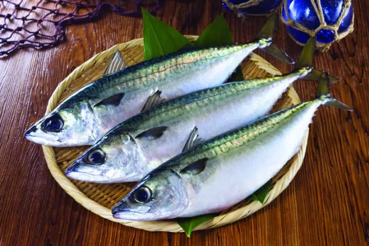 潮玩 大阪 最新熱點攻略！！(第八章)