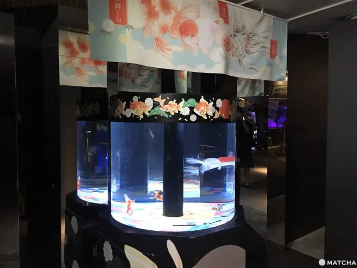 墨田水族館昭和風金魚展 魚兒悠遊目不暇給