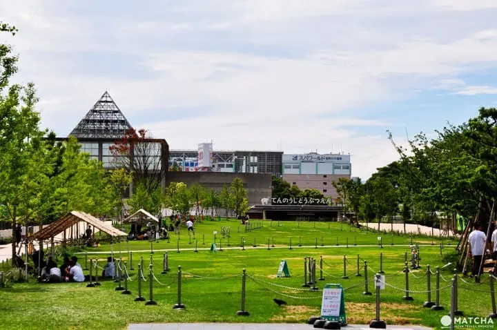 【大阪 天王寺】人气直追心斋桥！直接先按收藏的购物、美食、景点、交通懒人包