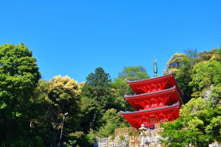 Guide de voyage Miyagi