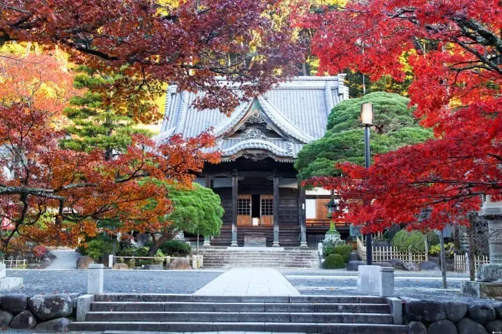 Izu Peninsula: 12 Things to Do, Hot Springs, and Nature Near Tokyo