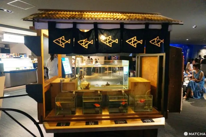 墨田水族館昭和風金魚展 魚兒悠遊目不暇給