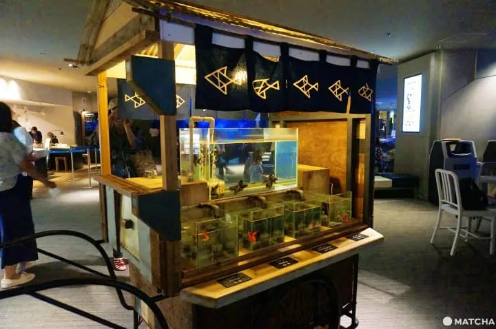 墨田水族館昭和風金魚展 魚兒悠遊目不暇給