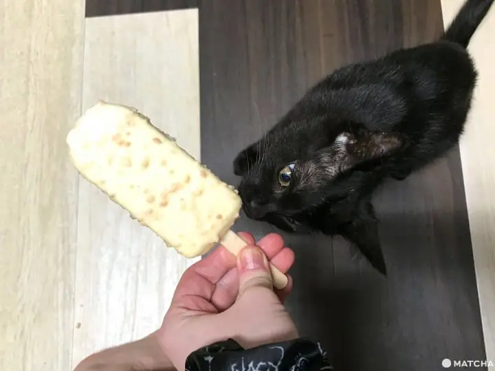 Calorie Monster Cherio Creamy Mayonnaise Ice Cream - Weirdly Tasty!