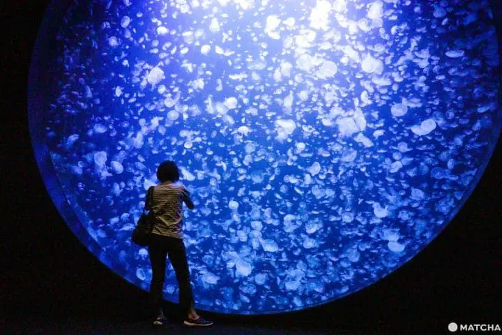 Yamagata Prefecture - Top 15 Things To See And Do From Hot Springs, Temples, To Cuisine!