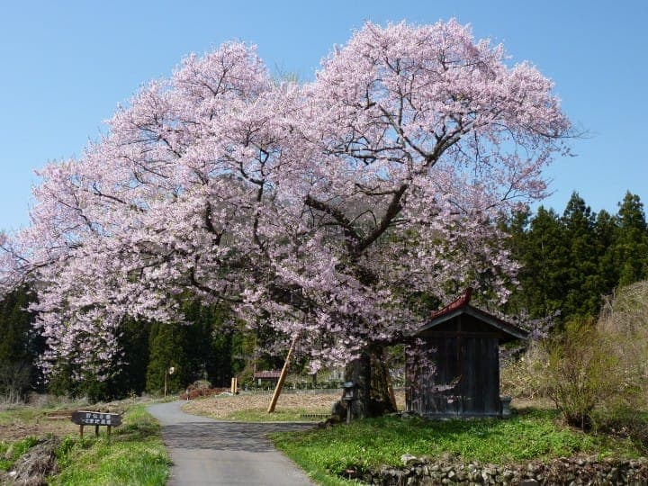 นั่งรถจักรไอน้ำย้อนยุคด้วย Tokyo Wide Pass ไปเที่ยวที่มินาคามิ (Minakami) ในกุนมะ (Gumma) กัน!