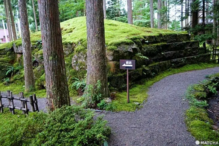 koke no sato moss village