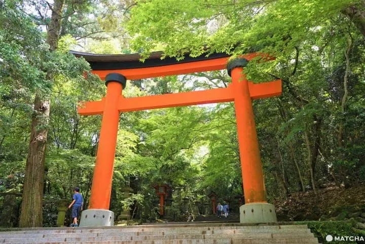 Usa Jingu Torii