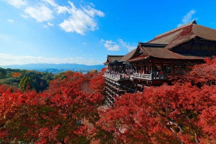 清水寺 賞楓