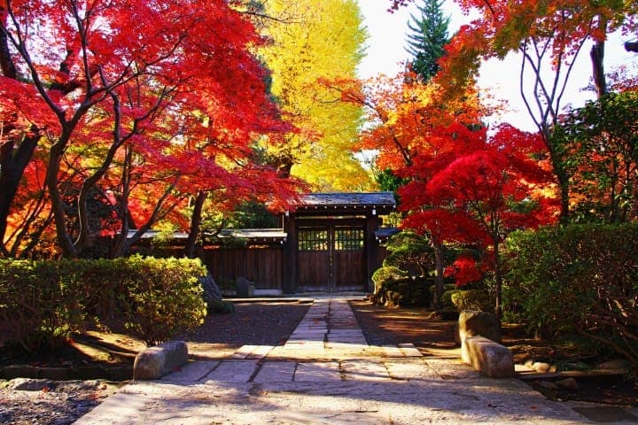 埼玉平林寺