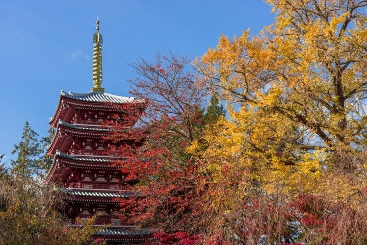 千葉本土寺