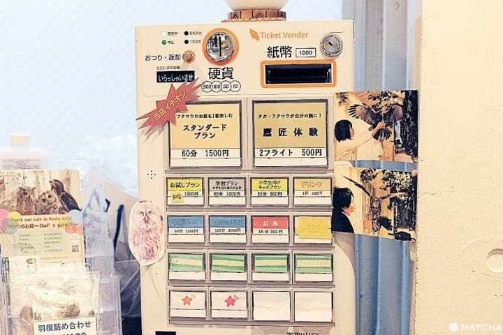 原宿で猛禽類と触れあえる「フクロウのお庭」
