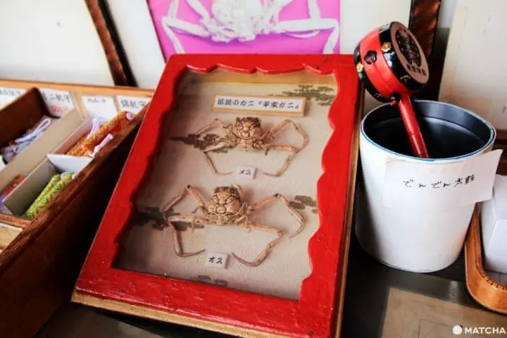 【山口縣】赤間神宮-日本平家蟹