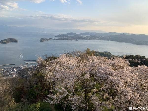积善山展望台