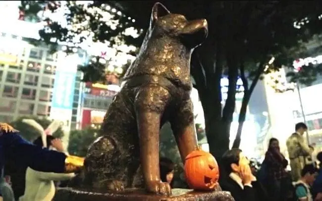 Drinking Ban! How To Make Shibuya Halloween 2019 Fun For Everyone