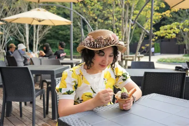 A Day In Hanno - Moominvalley Park, Great Sights, And Charming Desserts