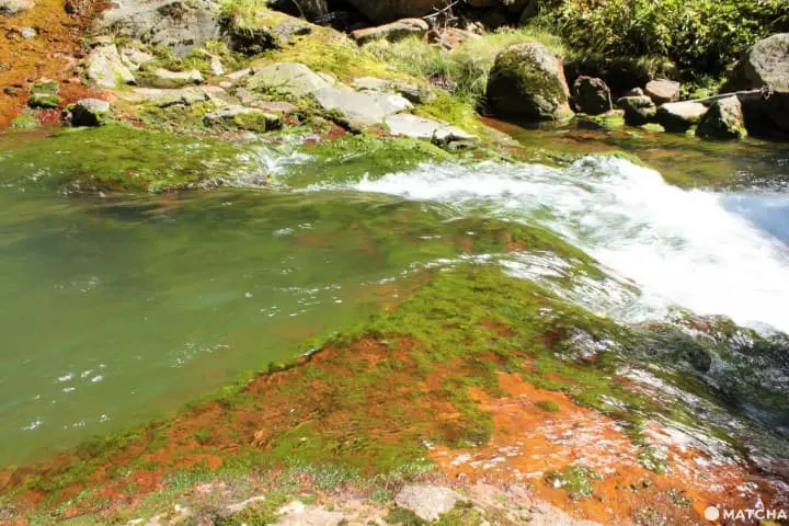 横谷峡さんぽ道