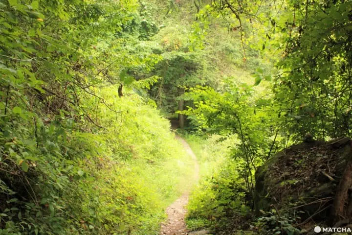 横谷峡さんぽ道