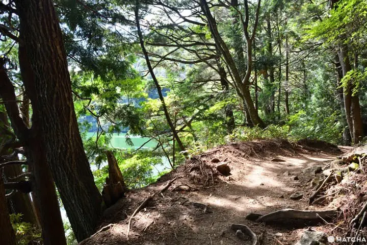 湯之湖環湖步道