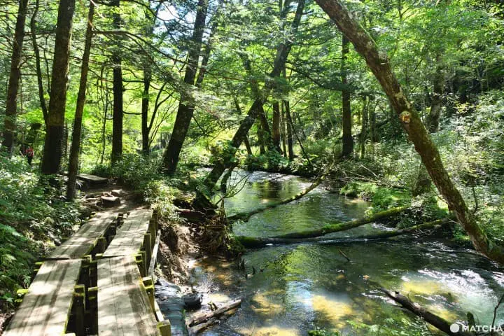 奧日光沿著湯川前進的步道