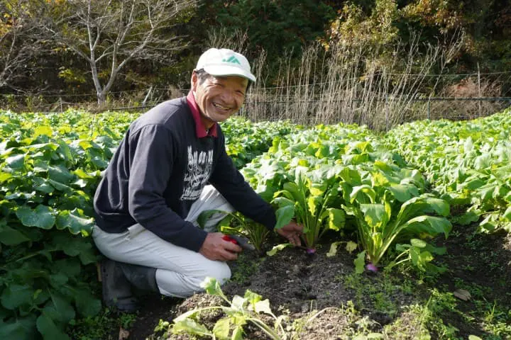 『京都』讓你難得想足不出門享受美景與美食的飯店3選