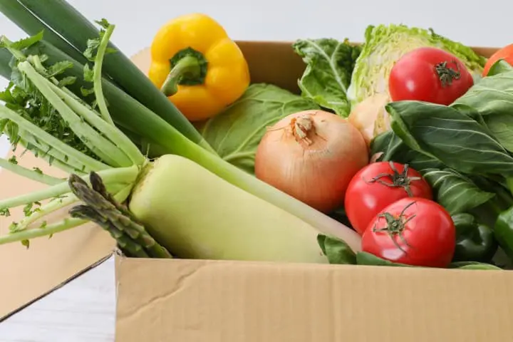 vegan grocery shopping in japan