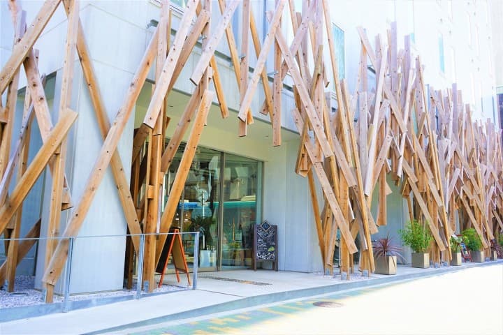 Architectural Marvels Along The Tobu Line! TOKYO SKYTREE, Sensoji Temple, And More!