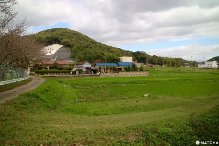 千代治の靴下(仮)