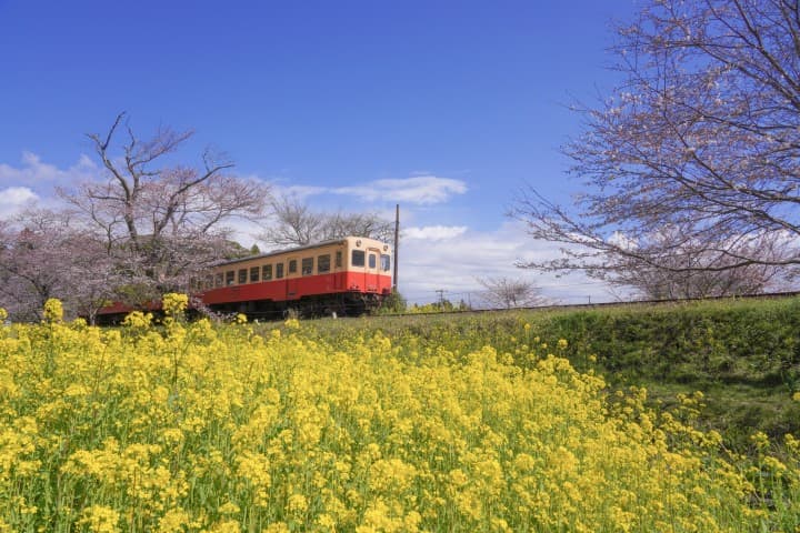 小湊鉄道