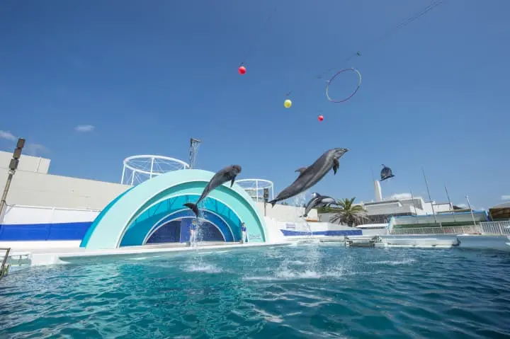 鴨川シーワールド