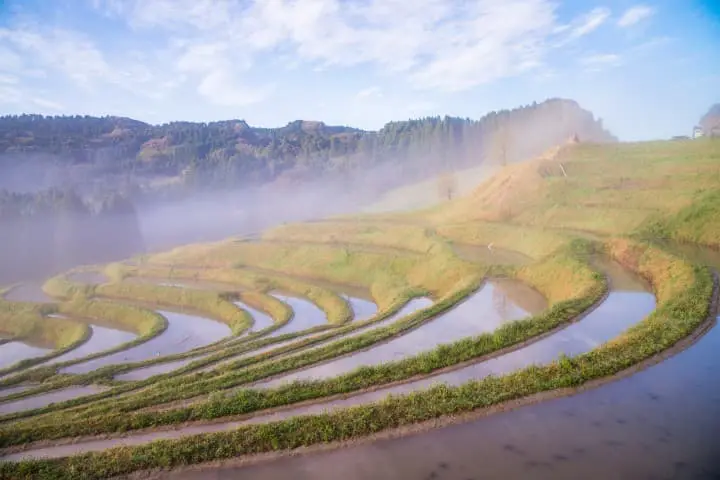 大山千枚田