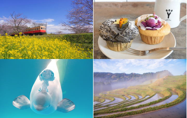 養老渓谷鴨川周辺