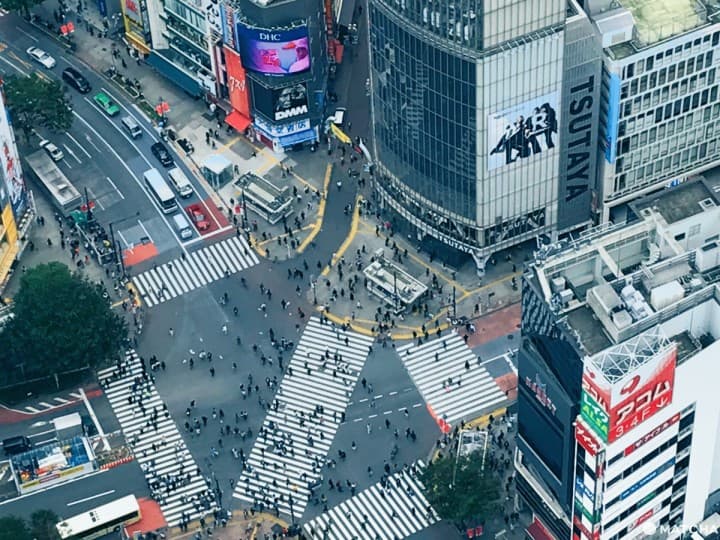 涩谷SCRAMBLE SQUARE 8