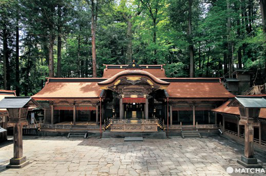 日本最古と言われる神社「諏訪大社」で日本の伝統を味わう