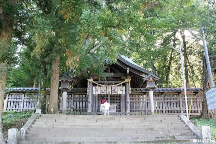 日本最古と言われる神社「諏訪大社」で日本の伝統を味わう