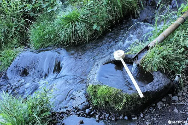 日本最古と言われる神社「諏訪大社」で日本の伝統を味わう