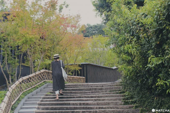 茂庵